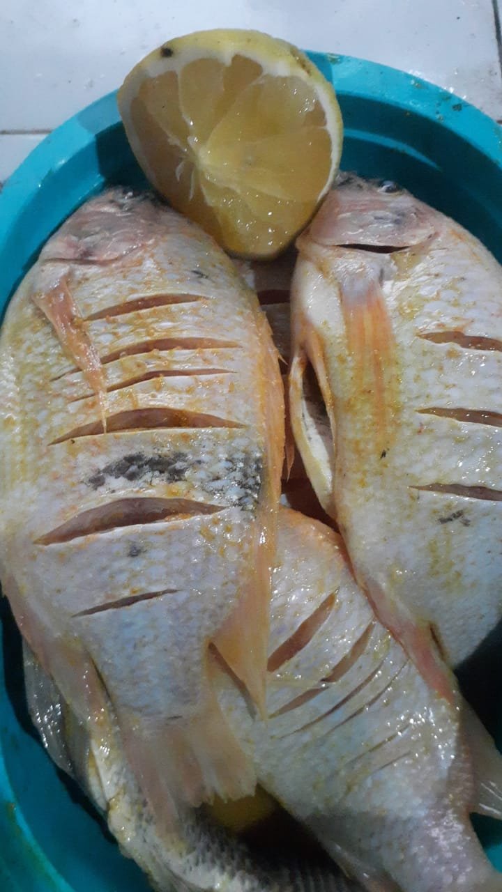 Ikan Nila Segar Bang Martin
